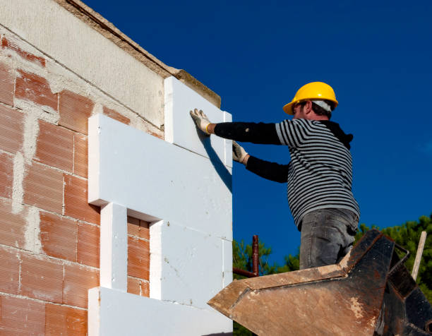 Best Insulation Maintenance and Repair in Cerro Gordo, IL