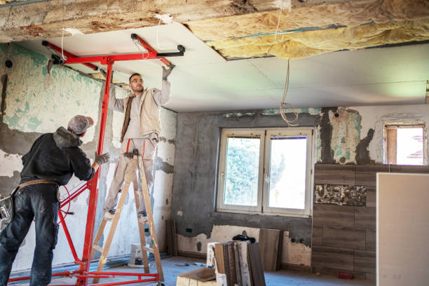 Professional Insulation Contractor in Cerro Gordo, IL
