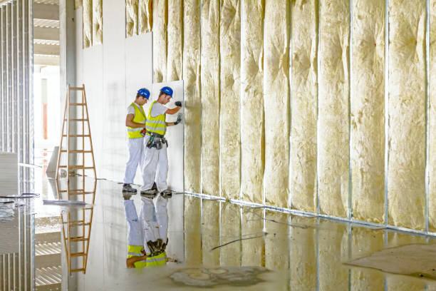 Best Specialized Insulation Services in Cerro Gordo, IL
